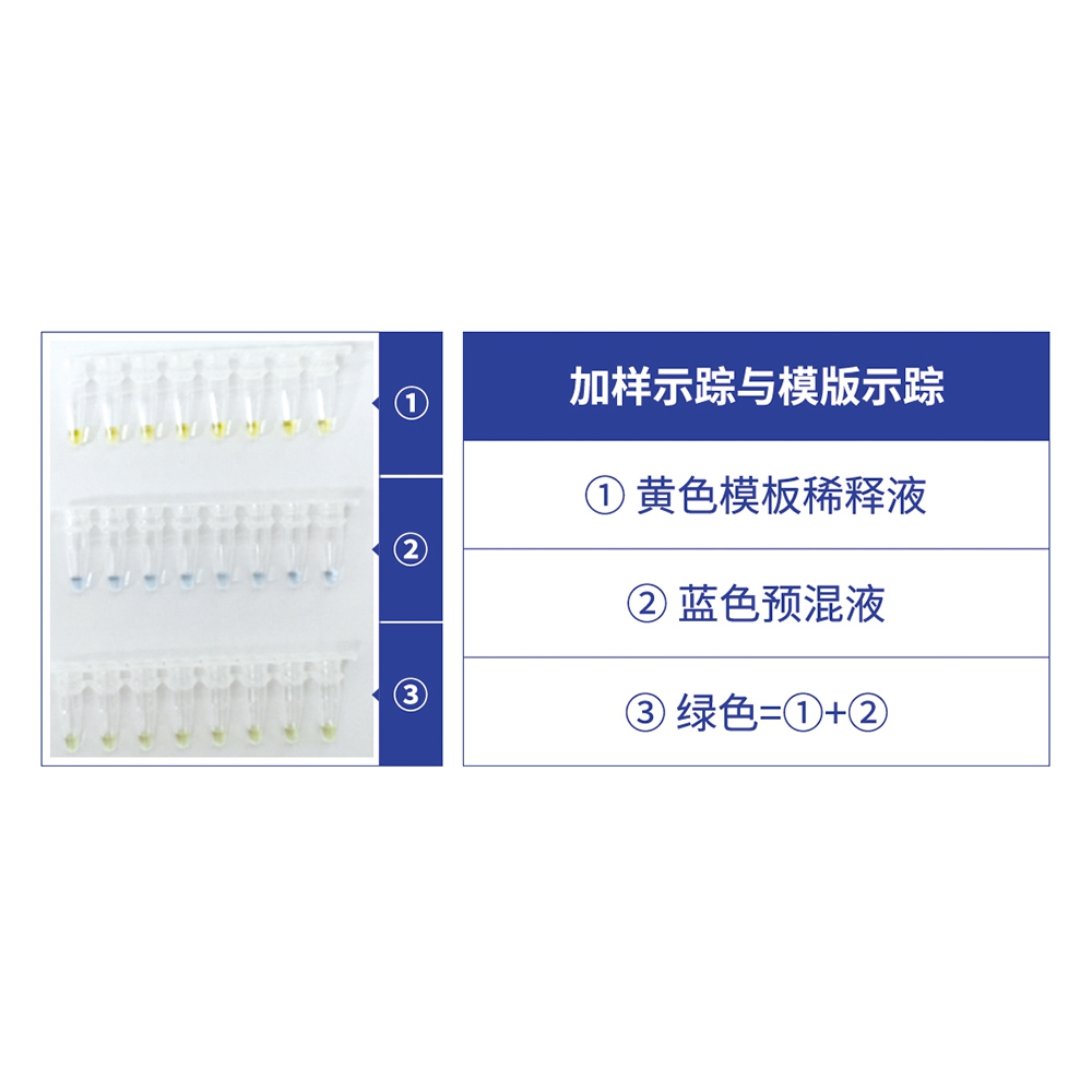 2 × Universal Blue SYBR GREE QPCR Master Mix mit 40 × gelbem Vorlagenverdünnungspuffer