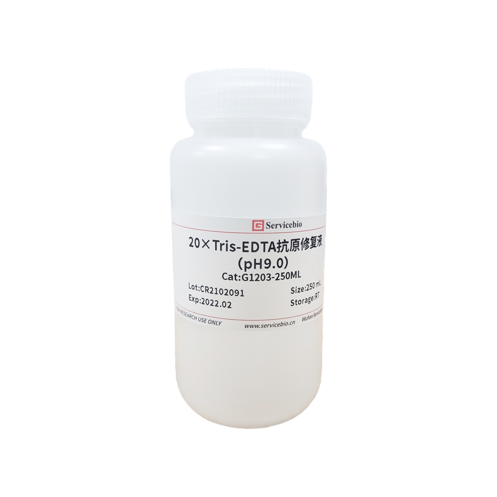20-mal; Tris-EDTA-Antigen-Retrieval-Lösung (pH 9,0)
