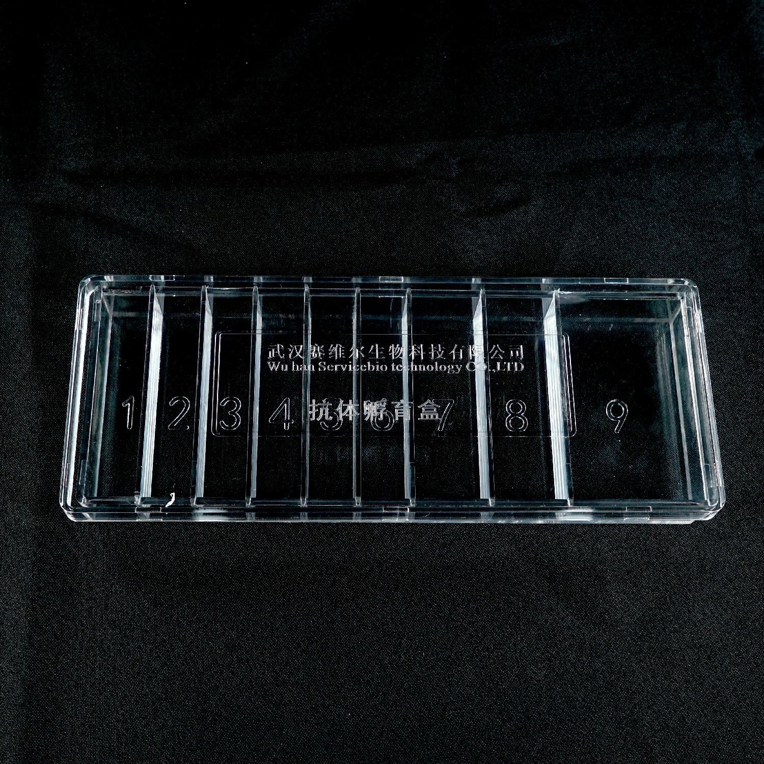 Inkubationsbox 9 Gitter transparent für Antikörper-Inkubation Acrylkiste für WB
