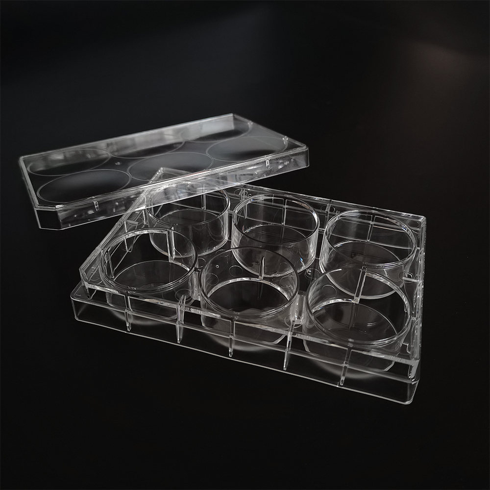 6-Well-Petrischalen mit Deckel-Gewebekultur-Teller-transparentem Polystyrol-steriler Kunststoff