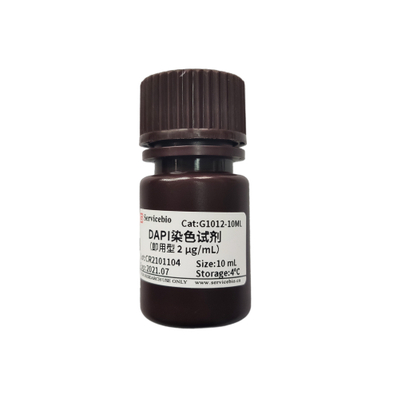 G1012-10ML-Fluoreszenzfarbstoff Dapi-Färbung Reagens