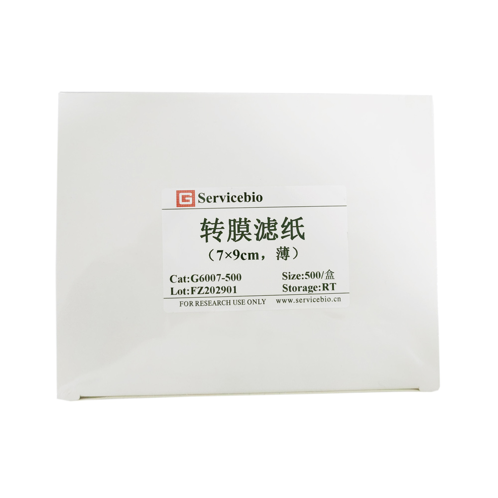 G6007-500 Transfermembranfilterpapier (dünn) 500pcs