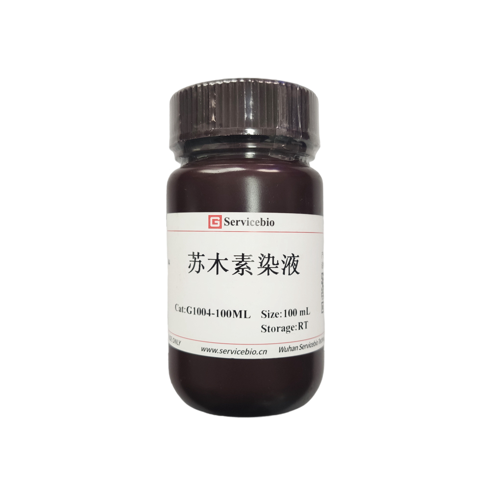 G1004-100ml Wasserlösliche Hämatoxylin-Flecklösung
